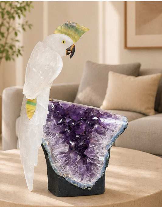 Amethyst Cockatoo